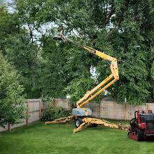 Best Stump Grinding and Removal  in Garnet, CA