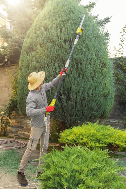 Best Lawn Grading and Leveling  in Garnet, CA